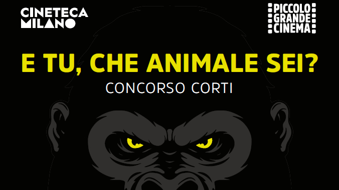 CONCORSO CORTI